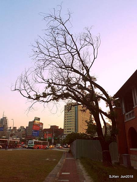 11-P_20180604_182752.jpg 11-P_20180604_182752.jpg