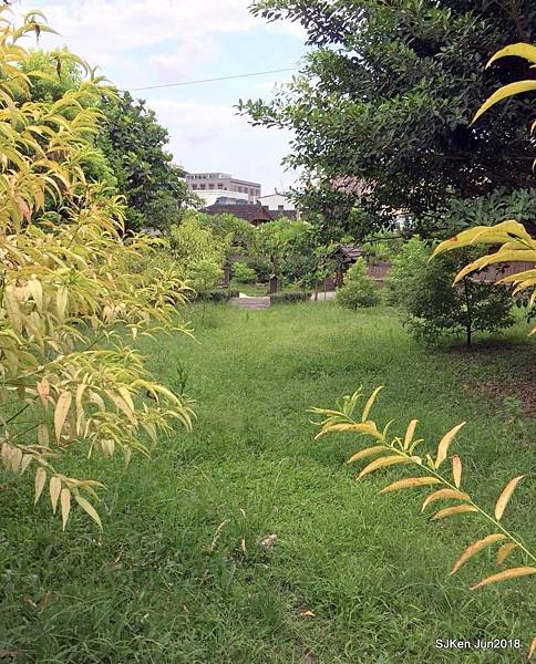 04-20180630_180701_0159.jpg 04-20180630_180701_0159.jpg