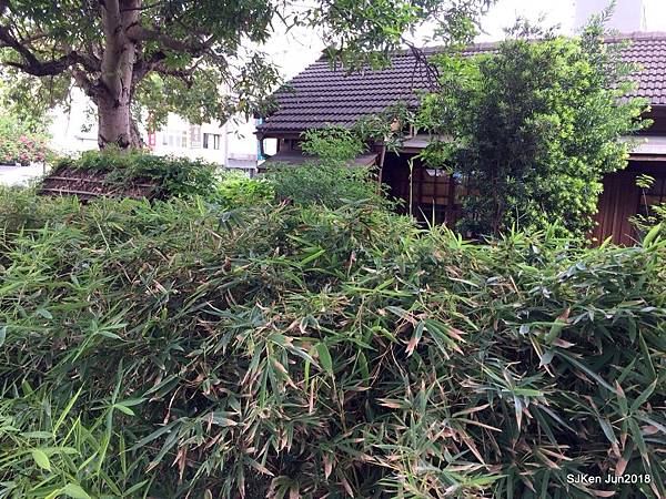 16-20180630_180701_0040.jpg 16-20180630_180701_0040.jpg