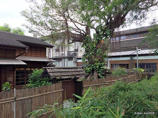 21-20180630_180701_0053.jpg 21-20180630_180701_0053.jpg