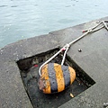 50-IMG_7972.JPG