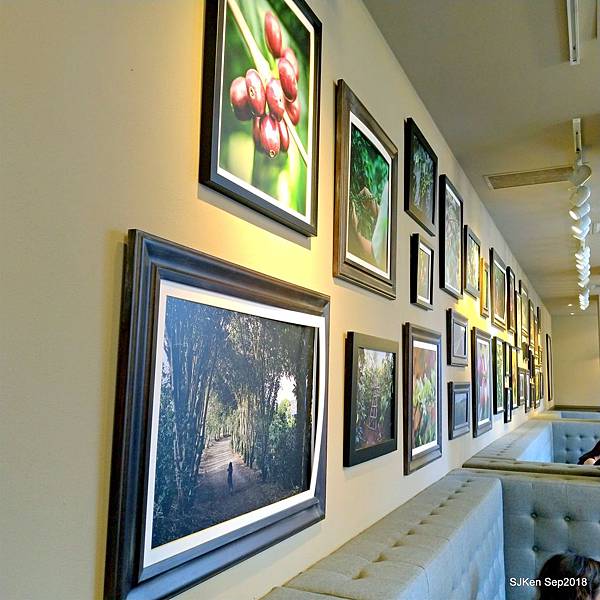 32-P_20180902_140425.jpg 32-P_20180902_140425.jpg