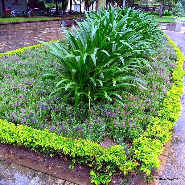 02-41510424_2103441533046974_3062433891047440384_n.jpg 02-41510424_2103441533046974_3062433891047440384_n.jpg