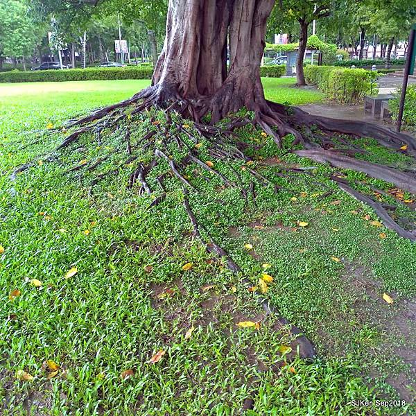 05-41469782_2103441366380324_5648312139509661696_n.jpg 05-41469782_2103441366380324_5648312139509661696_n.jpg