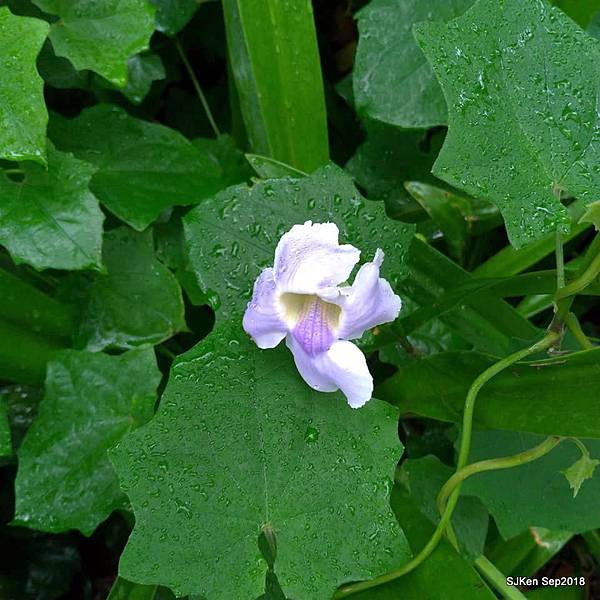 10-41450638_2103441089713685_1935520827189493760_n.jpg 10-41450638_2103441089713685_1935520827189493760_n.jpg