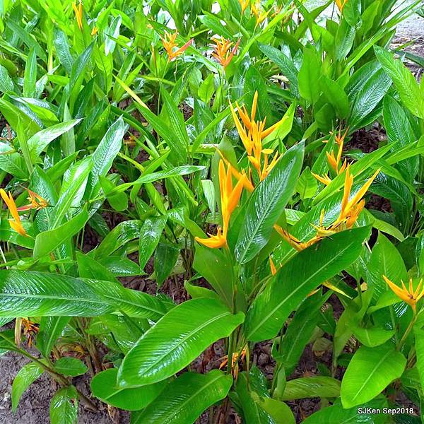 12-41440951_2103441413046986_6302017595163803648_n.jpg 12-41440951_2103441413046986_6302017595163803648_n.jpg