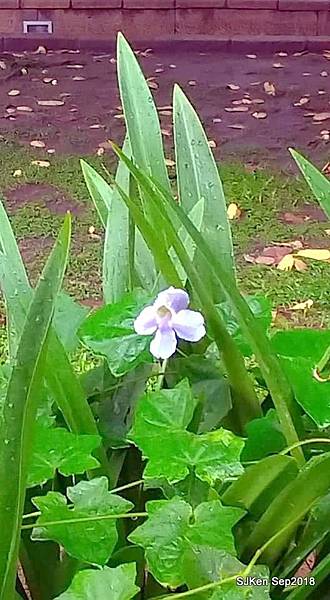 11-41562900_2103441456380315_5473079269129191424_n.jpg 11-41562900_2103441456380315_5473079269129191424_n.jpg