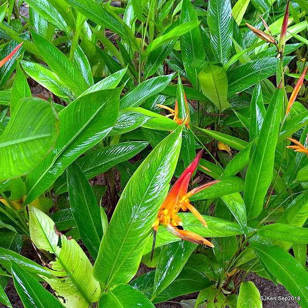 13-41461345_2103441293046998_3498893338159874048_n.jpg 13-41461345_2103441293046998_3498893338159874048_n.jpg