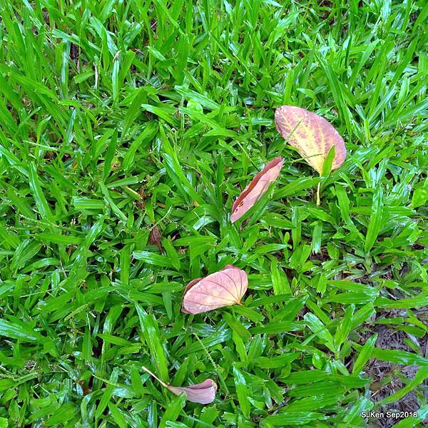 15-41499505_2103439403047187_3587602189691912192_n.jpg 15-41499505_2103439403047187_3587602189691912192_n.jpg