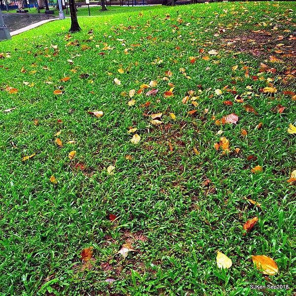 14-41484395_2103441336380327_6533332765515972608_n.jpg 14-41484395_2103441336380327_6533332765515972608_n.jpg