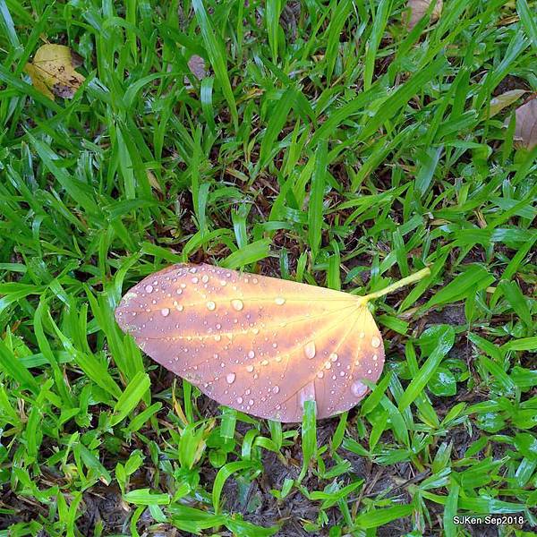 17-41462188_2103438453047282_3227135445783543808_n.jpg 17-41462188_2103438453047282_3227135445783543808_n.jpg