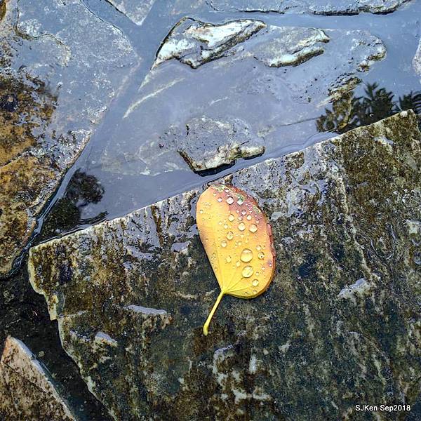 18-41398331_2103439363047191_4506449183552569344_n.jpg 18-41398331_2103439363047191_4506449183552569344_n.jpg