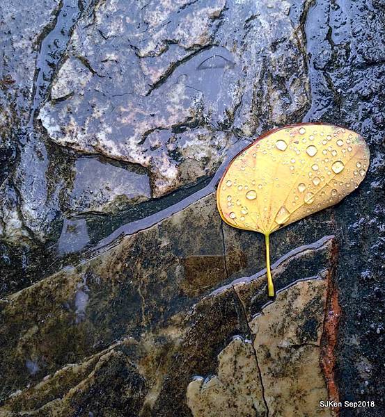 19-41421602_2103438569713937_9199160855235657728_n.jpg 19-41421602_2103438569713937_9199160855235657728_n.jpg