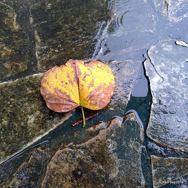 21-41382366_2103438699713924_3553827546128711680_n.jpg 21-41382366_2103438699713924_3553827546128711680_n.jpg