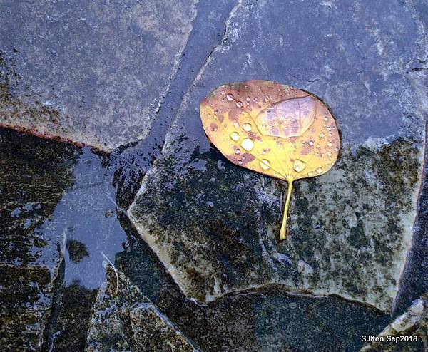 20-41519851_2103438833047244_2720570656247775232_n.jpg 20-41519851_2103438833047244_2720570656247775232_n.jpg