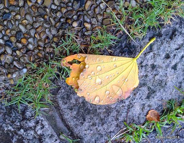 22-41479981_2103439166380544_2918357924612931584_n.jpg 22-41479981_2103439166380544_2918357924612931584_n.jpg