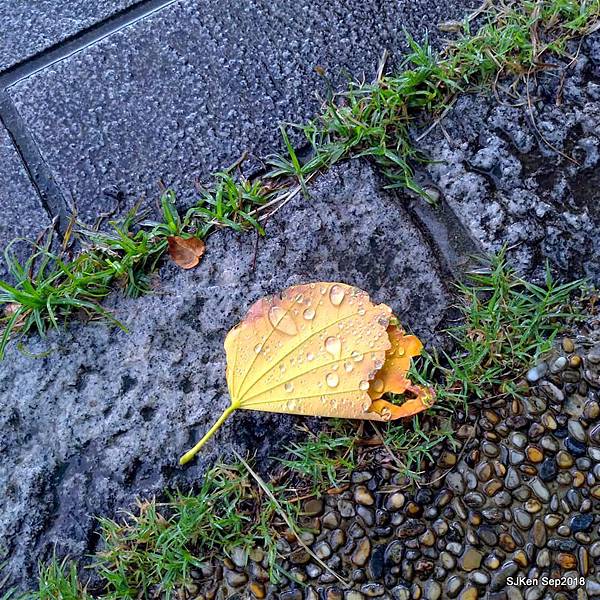 23-41418383_2103439276380533_4837379381531770880_n.jpg 23-41418383_2103439276380533_4837379381531770880_n.jpg