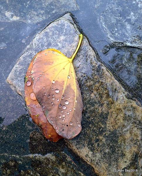 25-41442383_2103434446381016_1761440665901727744_n.jpg 25-41442383_2103434446381016_1761440665901727744_n.jpg