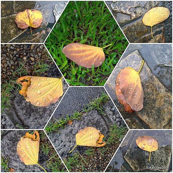 26-41359626_2103438369713957_5398353886220124160_n.jpg 26-41359626_2103438369713957_5398353886220124160_n.jpg