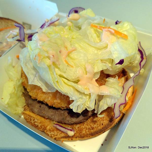 17-P_20181222_162033.jpg 17-P_20181222_162033.jpg