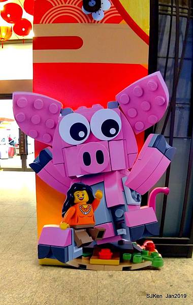 04-P_20190126_201122.jpg 04-P_20190126_201122.jpg