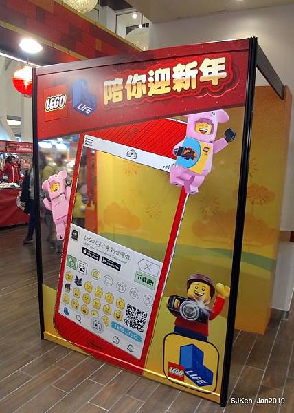 09-P_20190126_204527.jpg 09-P_20190126_204527.jpg