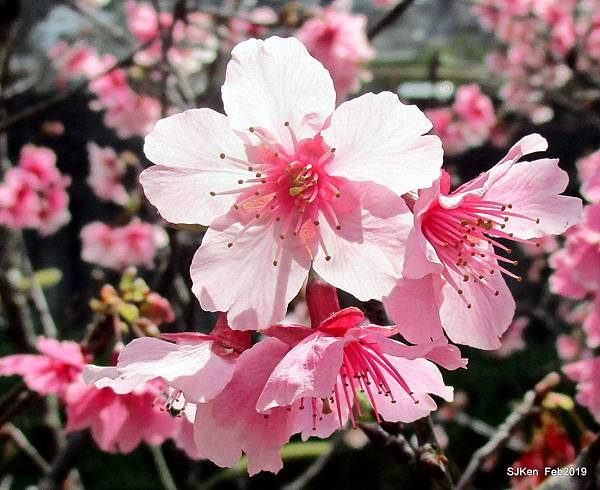 001-IMG_0361.JPG 001-IMG_0361.JPG