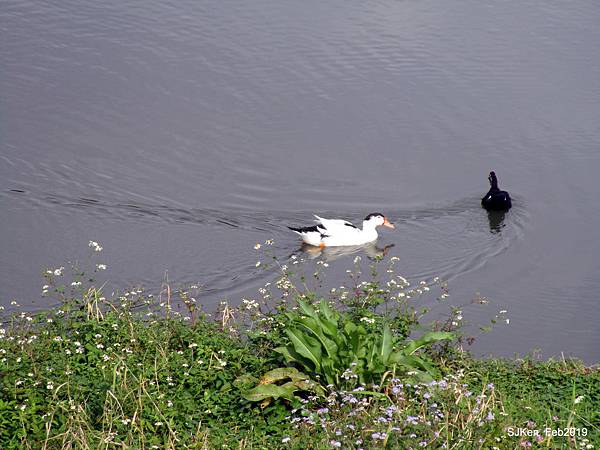 012-IMG_0292.JPG 012-IMG_0292.JPG