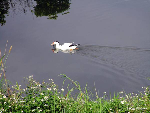 013-IMG_0282.JPG 013-IMG_0282.JPG