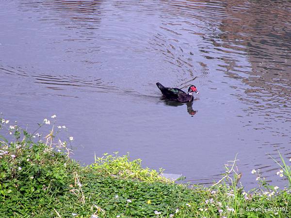 014-IMG_0290.JPG 014-IMG_0290.JPG