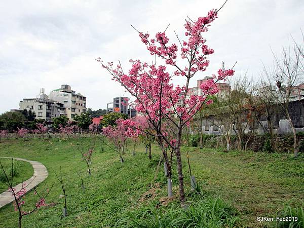 017-IMG_0256.JPG 017-IMG_0256.JPG