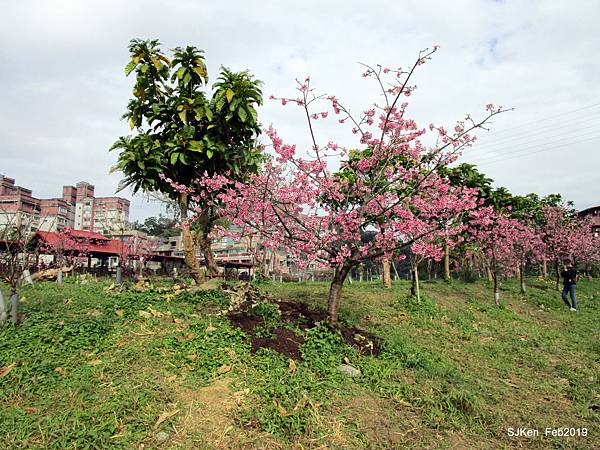 018-IMG_0222.JPG 018-IMG_0222.JPG