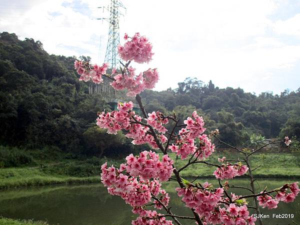 019-IMG_0242.JPG 019-IMG_0242.JPG