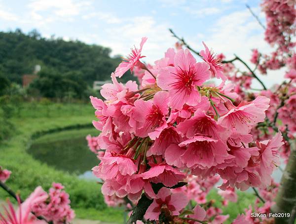 020-IMG_0255.JPG 020-IMG_0255.JPG