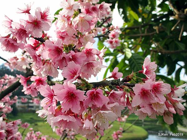 021-IMG_0233.JPG 021-IMG_0233.JPG