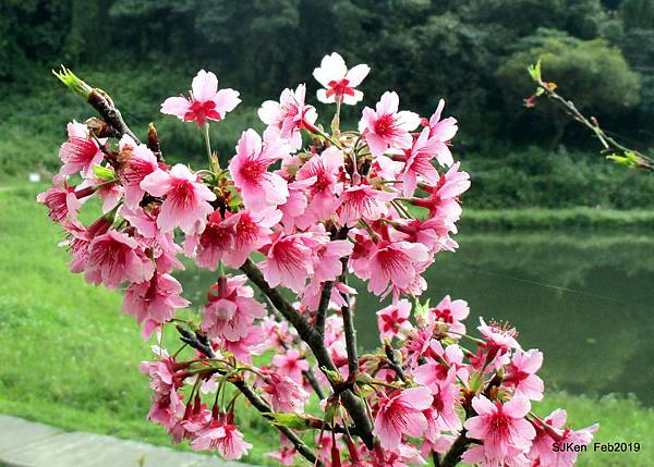 022-IMG_0237.JPG 022-IMG_0237.JPG