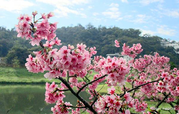 023-IMG_0243.JPG 023-IMG_0243.JPG