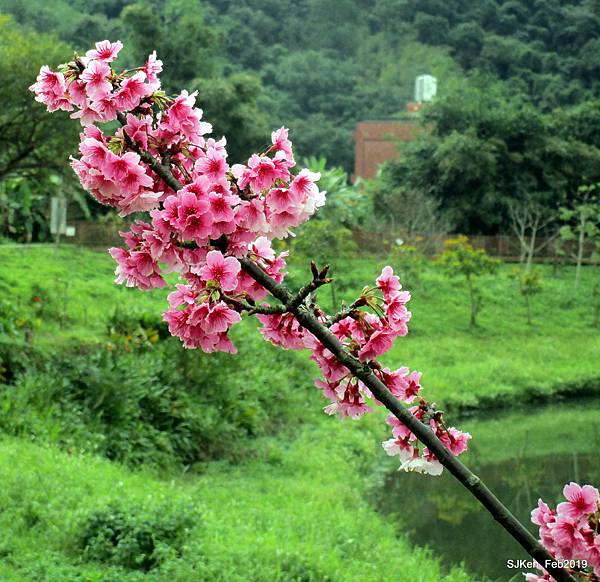 024-IMG_0254.JPG 024-IMG_0254.JPG