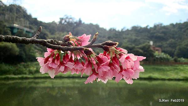 025-IMG_0241.JPG 025-IMG_0241.JPG