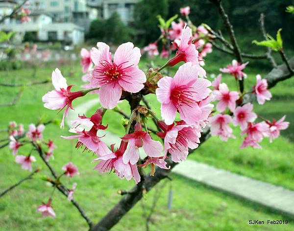 026-IMG_0236.JPG 026-IMG_0236.JPG