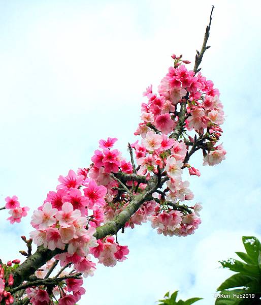 027-IMG_0249.JPG 027-IMG_0249.JPG