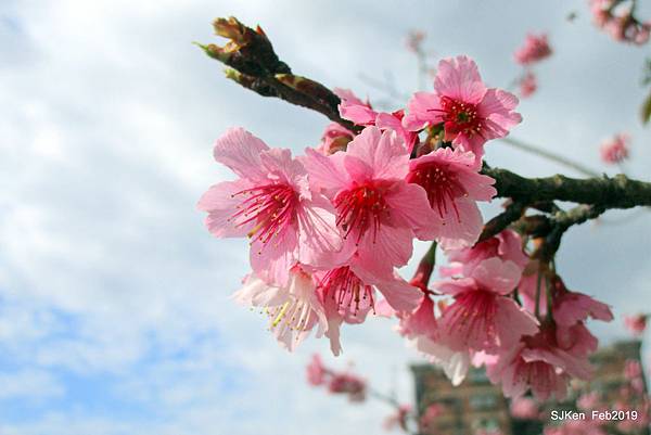 028-IMG_0227.JPG 028-IMG_0227.JPG