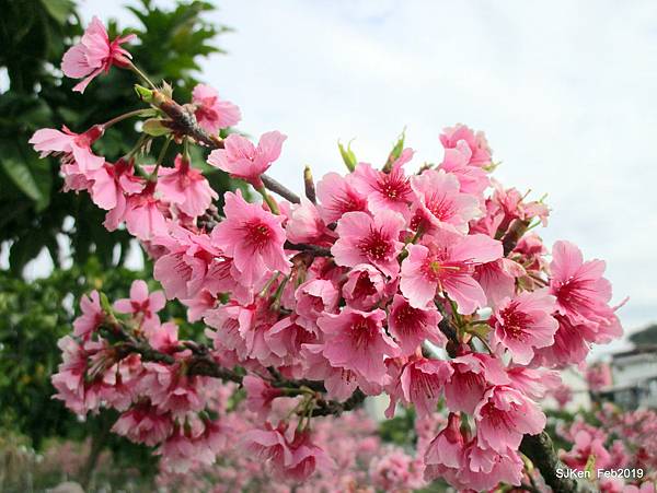 029-IMG_0239.JPG 029-IMG_0239.JPG