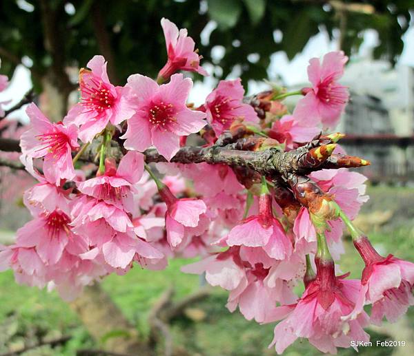 030-IMG_0231.JPG 030-IMG_0231.JPG