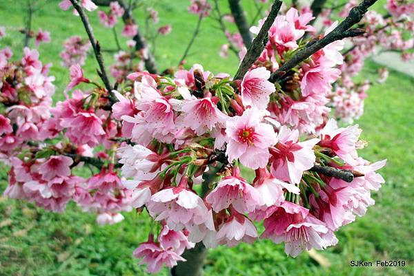 031-IMG_0245.JPG 031-IMG_0245.JPG