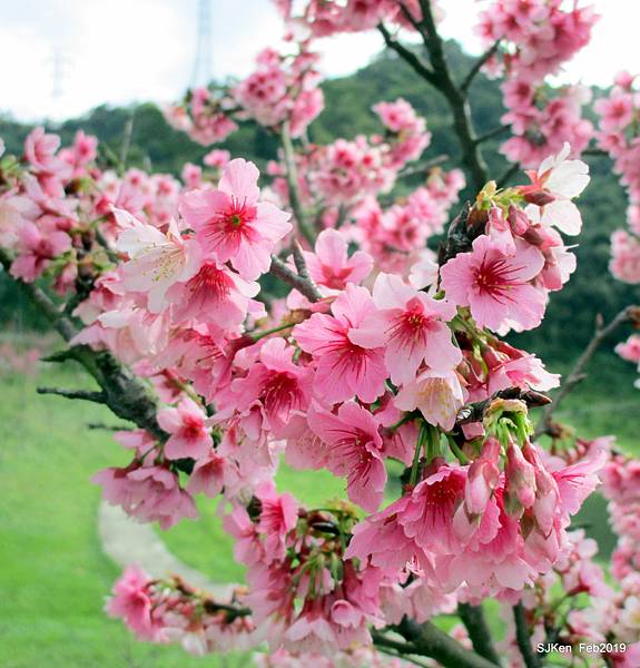 032-IMG_0246.JPG 032-IMG_0246.JPG