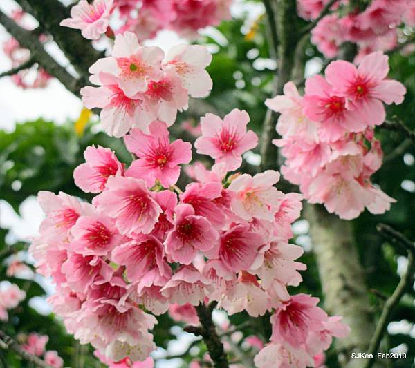 033-IMG_0251.JPG 033-IMG_0251.JPG