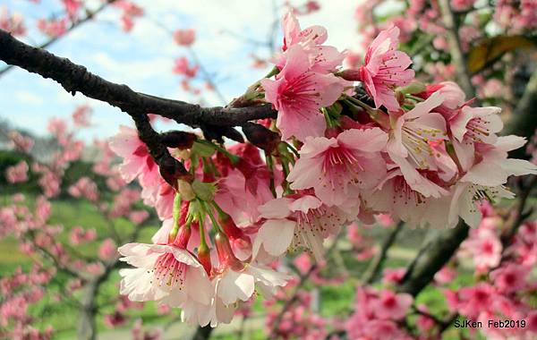 034-IMG_0230.JPG 034-IMG_0230.JPG