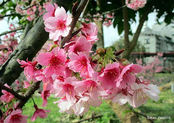 035-IMG_0229.JPG 035-IMG_0229.JPG