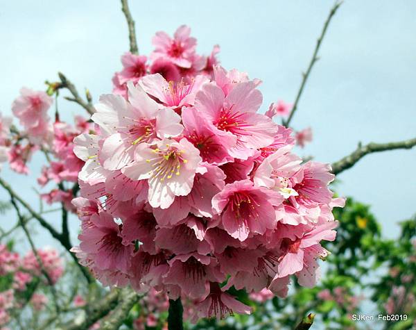 036-IMG_0224.JPG 036-IMG_0224.JPG